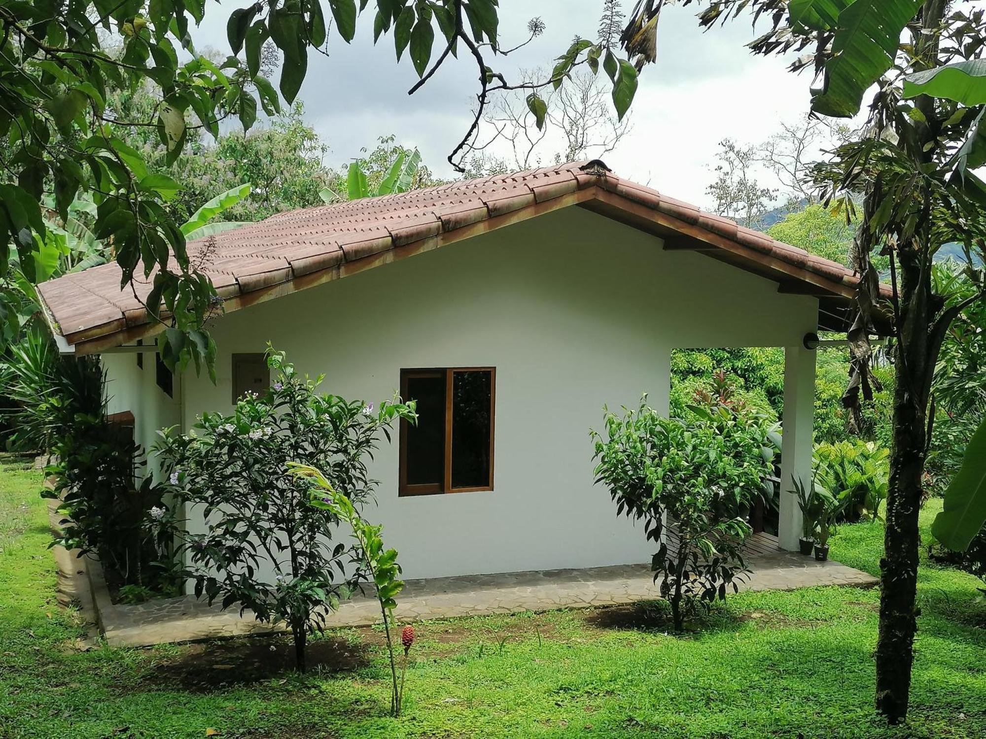 La Ceiba Tree Lodge Tilarán Buitenkant foto
