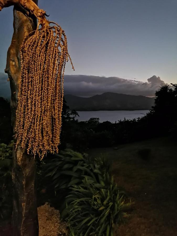 La Ceiba Tree Lodge Tilarán Buitenkant foto