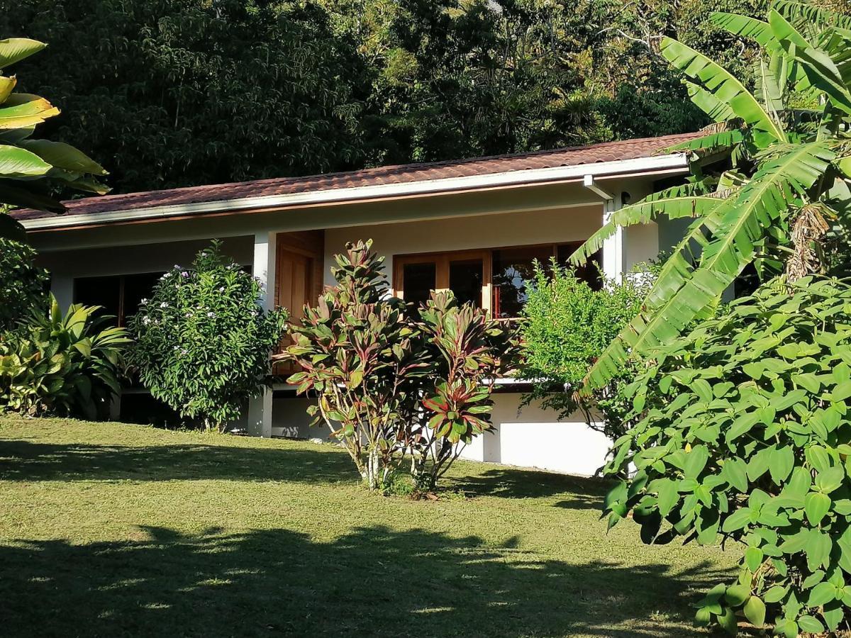 La Ceiba Tree Lodge Tilarán Buitenkant foto